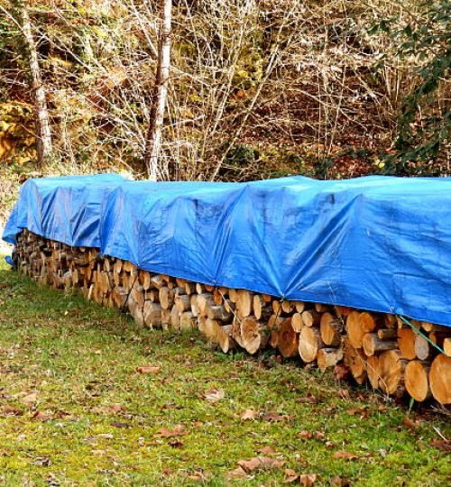 Covered pile of oak and sweet chestnut logs in a woodland clearing